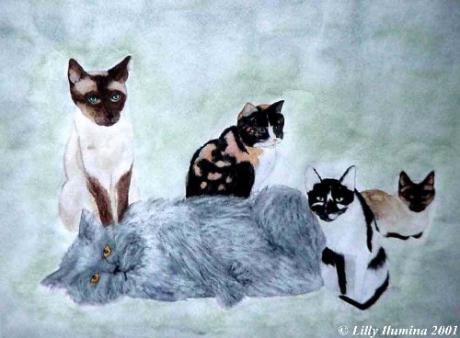 Fünf Freunde (1993) von Lilly Ilumina - Lilly Ilumina - Array auf Array - Array - Fünf Freunde (1993) von Lilly Ilumina - Lilly Ilumina - Array auf Array - Array -