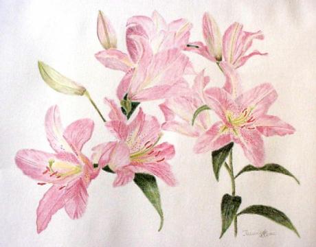 unangenehme Schönheit (2002) Lilly Ilumina - Lilly Ilumina - Array auf Array - Array - unangenehme Schönheit (2002) Lilly Ilumina - Lilly Ilumina - Array auf Array - Array -