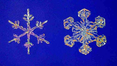2 Schneekristalle 8.6-7 (1993) - Hajo Horstmann - Hajo Horstmann - auf - Array - 2 Schneekristalle 8.6-7 (1993) - Hajo Horstmann - Hajo Horstmann - auf - Array -