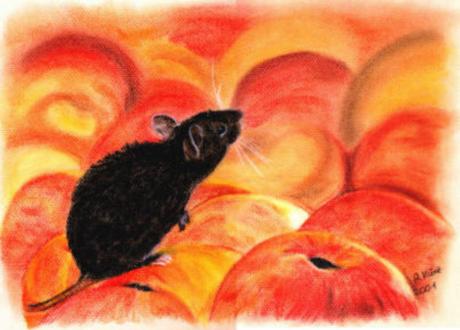 Maus (2001) Andrea Günter - Andrea Günter - Array auf - Array - Maus (2001) Andrea Günter - Andrea Günter - Array auf - Array -