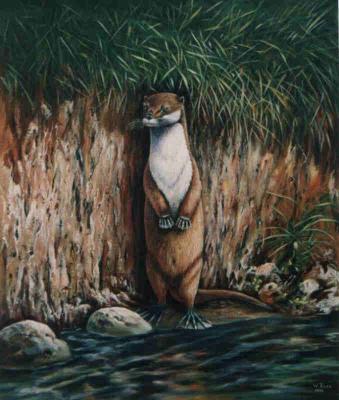 Fischotter (1996) Wolfgang Rose - Wolfgang Rose - Array auf Array - Array - Fischotter (1996) Wolfgang Rose - Wolfgang Rose - Array auf Array - Array -