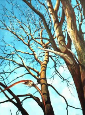 Sakafalke - Wolfgang Rose - auf - Array - Sakafalke - Wolfgang Rose - auf - Array -