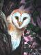 Schleiereule (1999) Joern Werner - Jörn Joern Werner - Ãl auf Leinwand - Sonstiges - Schleiereule (1999) Joern Werner - Jörn Joern Werner - Ãl auf Leinwand - Sonstiges -