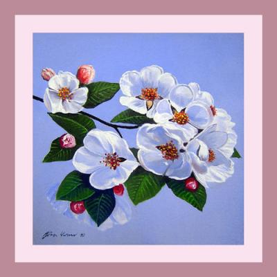 Apfelblüte - Jörn Joern Werner - Array auf - Array - Apfelblüte - Jörn Joern Werner - Array auf - Array -