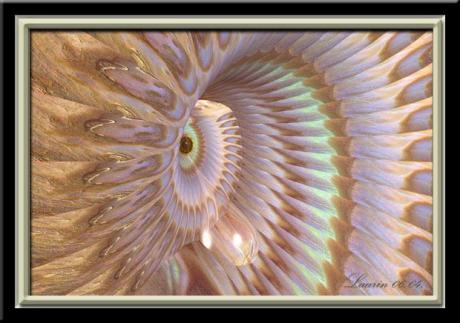 Ohne Worte (2004) Laurin - Laurin - auf - Array - Ohne Worte (2004) Laurin - Laurin - auf - Array -