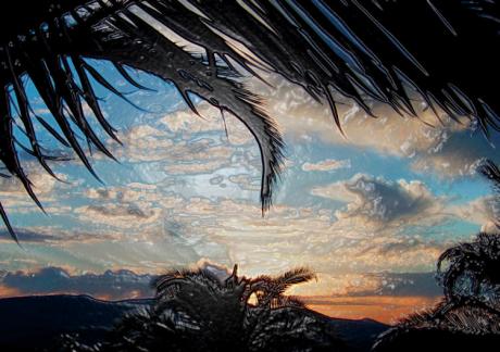 Abendstimmung auf der Vulkaninsel - Timm-H. Wemper - auf - Array - Abendstimmung auf der Vulkaninsel - Timm-H. Wemper - auf - Array -