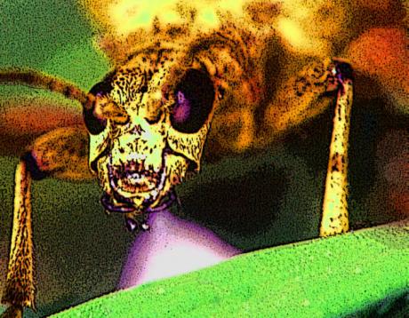 Angriff - Timm-H. Wemper - auf - Array - Angriff - Timm-H. Wemper - auf - Array -