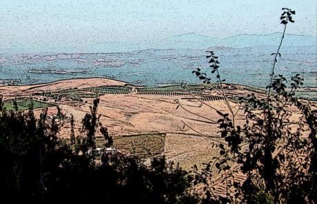 Braune Felder - Timm-H. Wemper - auf - Array - Braune Felder - Timm-H. Wemper - auf - Array -