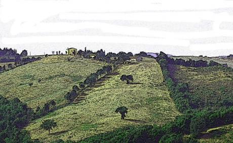 Das Haus am Huegel - Timm-H. Wemper - auf - Array - Das Haus am Huegel - Timm-H. Wemper - auf - Array -