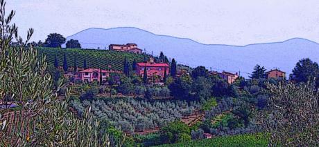 Der Olivenhain - Timm-H. Wemper - auf - Array - Der Olivenhain - Timm-H. Wemper - auf - Array -