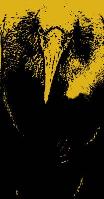 Der strenge Blick - Timm-H. Wemper - auf - Array - Der strenge Blick - Timm-H. Wemper - auf - Array -