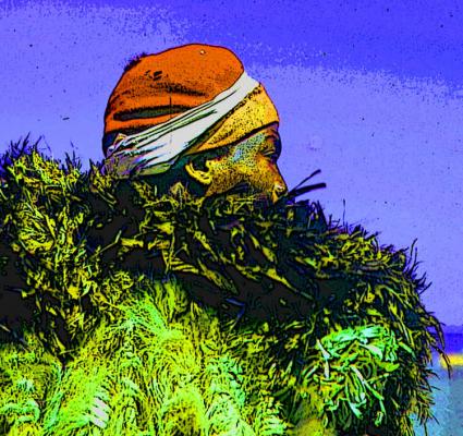 Die Federboa - Timm-H. Wemper - auf - Array - Die Federboa - Timm-H. Wemper - auf - Array -