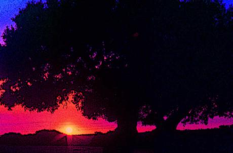 Sonnenaufgang - Timm-H. Wemper - auf - Array - Sonnenaufgang - Timm-H. Wemper - auf - Array -