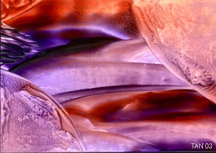 Welten (Encaustic Nr7.) -TAN- (Tanja Meyer) - Tan - auf Array - Array - Welten (Encaustic Nr7.) -TAN- (Tanja Meyer) - Tan - auf Array - Array -