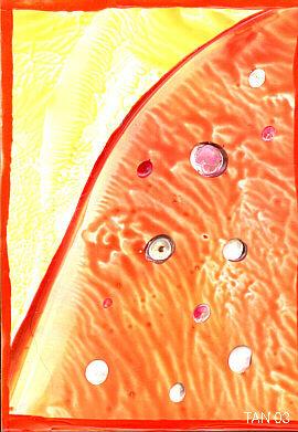 Encaustic Nr.8 (2003)-Tan- - Tan - auf Array - Array - Encaustic Nr.8 (2003)-Tan- - Tan - auf Array - Array -