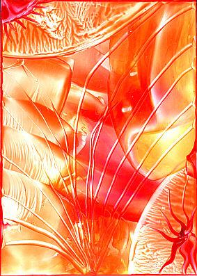 Sonnentag,Encaustic Nr.11 (2003)-Tan- - Tan - auf Array - Array - Sonnentag,Encaustic Nr.11 (2003)-Tan- - Tan - auf Array - Array -