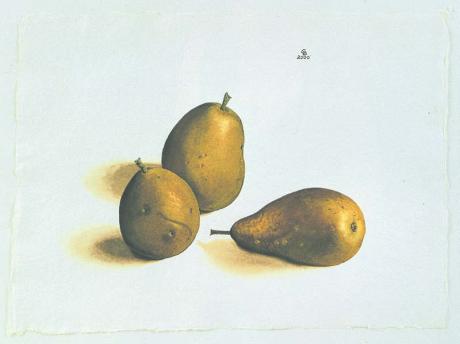 Drei Birnen (2000) Christine Becker - Christine Becker - Array auf - Array - Drei Birnen (2000) Christine Becker - Christine Becker - Array auf - Array -