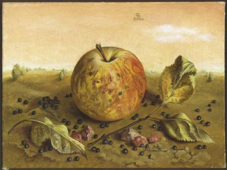 Boskoop mit Wacholderbeeren (2000) Christine Becke - Christine Becker - Array auf - Array - Boskoop mit Wacholderbeeren (2000) Christine Becke - Christine Becker - Array auf - Array -