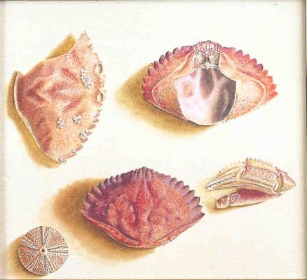 Pacific (2002) Christine Becker - Christine Becker - Array auf Array - Array - Pacific (2002) Christine Becker - Christine Becker - Array auf Array - Array -