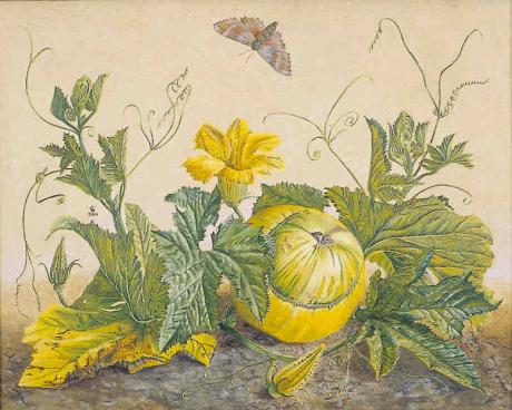 Zierkürbis mit Falter (2001) Christine Becker - Christine Becker - Array auf Array - Array - Zierkürbis mit Falter (2001) Christine Becker - Christine Becker - Array auf Array - Array -