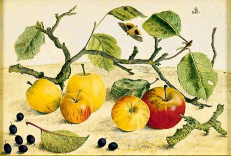 Äpfel mit Falter (2001) Christine Becker - Christine Becker - Array auf - Array - Äpfel mit Falter (2001) Christine Becker - Christine Becker - Array auf - Array -