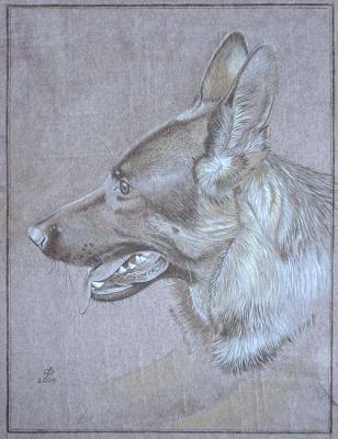 Junge Schäferhündin (2004) Christine Becker - Christine Becker - Array auf Array - Array - Junge Schäferhündin (2004) Christine Becker - Christine Becker - Array auf Array - Array -