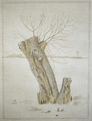 Weidenstamm (2004) Christine Becker - Christine Becker - Array auf Array - Array - Weidenstamm (2004) Christine Becker - Christine Becker - Array auf Array - Array -