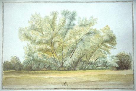 Weidenbusch (2004) Christine Becker - Christine Becker - Array auf Array - Array - Weidenbusch (2004) Christine Becker - Christine Becker - Array auf Array - Array -