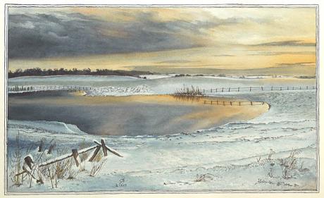 Tümpel im Gegenlicht (2006) - Christine Becker - Array auf Array - Array - Tümpel im Gegenlicht (2006) - Christine Becker - Array auf Array - Array -