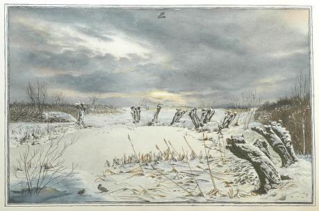 Weidentümpel (2006) - Christine Becker - Array auf Array - Array - Weidentümpel (2006) - Christine Becker - Array auf Array - Array -