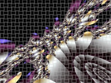 Divided fences 2002 - Hendrik Arie Baartman - Baartman - auf - Array - Divided fences 2002 - Hendrik Arie Baartman - Baartman - auf - Array -