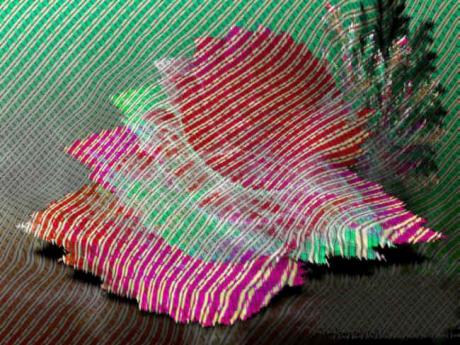 Growing weeds in my loft (2004) Hendrik Arie Baart - Baartman - auf - Array - Growing weeds in my loft (2004) Hendrik Arie Baart - Baartman - auf - Array -