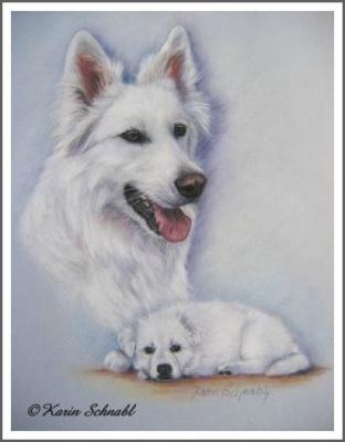 Kanadischer Schäferhund mit Welpe - Karin Schnabl - Array auf - Array - Kanadischer Schäferhund mit Welpe - Karin Schnabl - Array auf - Array -