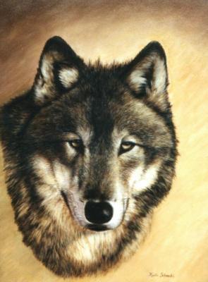 AMAROQ - Karin Schnabl - Karin Schnabl - Array auf Array - Array - AMAROQ - Karin Schnabl - Karin Schnabl - Array auf Array - Array -