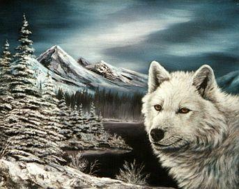 Weisser Wolf bei Nacht - Karin Schnabl - Karin Schnabl - Array auf Array - Array - Weisser Wolf bei Nacht - Karin Schnabl - Karin Schnabl - Array auf Array - Array -