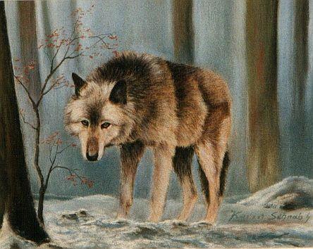 Ronja - die alte Timberwölfin - Karin Schnabl - Karin Schnabl - Array auf Array - Array - Ronja - die alte Timberwölfin - Karin Schnabl - Karin Schnabl - Array auf Array - Array -