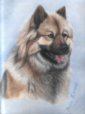 EURASIER - Karin Schnabl - Array auf - Array - EURASIER - Karin Schnabl - Array auf - Array -