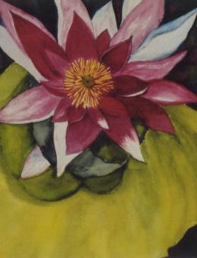 Seerose pink (2001/2002) Monika Hartz - Monika Hartz - Array auf Array - Array - Seerose pink (2001/2002) Monika Hartz - Monika Hartz - Array auf Array - Array -