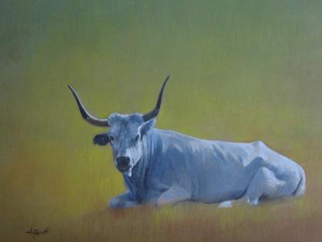 Mucca maremmana - LORENZO ANTOGNETTI - auf Array - Array - Mucca maremmana - LORENZO ANTOGNETTI - auf Array - Array -