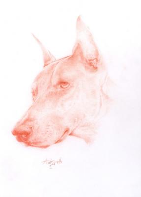 Rex - di Lorenzo Antognetti (2006) - LORENZO ANTOGNETTI - auf - Array - Rex - di Lorenzo Antognetti (2006) - LORENZO ANTOGNETTI - auf - Array -