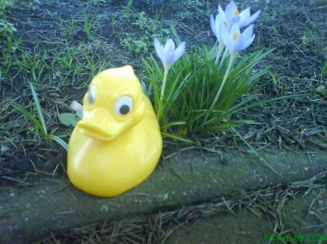 test - Johannes Wenten - auf - Array - test - Johannes Wenten - auf - Array -