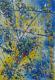 Google earth (TM) - intercostal - Florida - Dr. Ingo Sonntag Domingo-Art - Acryl-Ãl auf Leinwand - Sonstiges - Google earth (TM) - intercostal - Florida - Dr. Ingo Sonntag Domingo-Art - Acryl-Ãl auf Leinwand - Sonstiges -