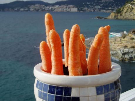 for your choice - Mesdames - Dr. Ingo Sonntag Domingo-Art - Array auf - Array - for your choice - Mesdames - Dr. Ingo Sonntag Domingo-Art - Array auf - Array -