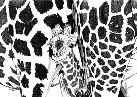 Giraffenbaby (2004) Stefan Weber - Stefan Weber - Array auf - Array - Giraffenbaby (2004) Stefan Weber - Stefan Weber - Array auf - Array -