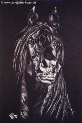 Araberhengst Assuan El Ifrith (1992) Janette Herli - Janette Herlinger - Array auf - Array - Araberhengst Assuan El Ifrith (1992) Janette Herli - Janette Herlinger - Array auf - Array -