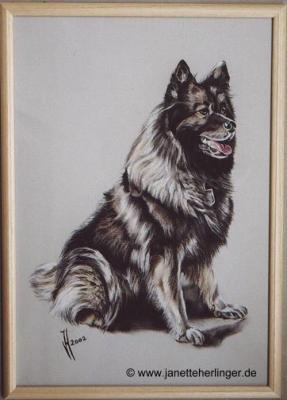 Wolfspitz Cindy (2002) Janette Herlinger - Janette Herlinger - Array auf - Array - Wolfspitz Cindy (2002) Janette Herlinger - Janette Herlinger - Array auf - Array -