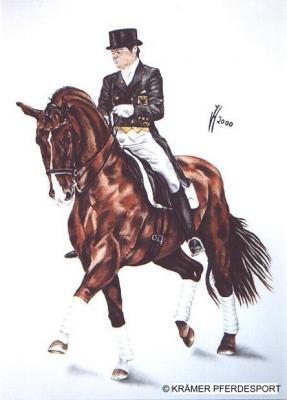 Oldenburger Hengst Donnerhall mit Karin Rehbein (2 - Janette Herlinger - Array auf - Array - Oldenburger Hengst Donnerhall mit Karin Rehbein (2 - Janette Herlinger - Array auf - Array -