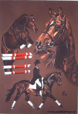 Warmbluthengst Wall Street (1996) Janette Herlinge - Janette Herlinger - Array auf - Array - Warmbluthengst Wall Street (1996) Janette Herlinge - Janette Herlinger - Array auf - Array -