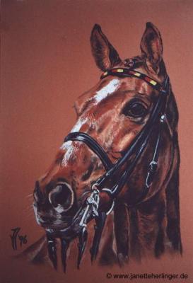 Dressur-Olympiasieger Gigolo (1996) Janette Herlin - Janette Herlinger - Array auf - Array - Dressur-Olympiasieger Gigolo (1996) Janette Herlin - Janette Herlinger - Array auf - Array -