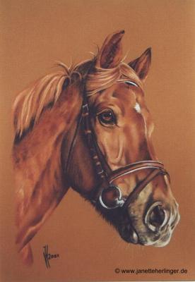 Freiberger Ivan (2001) Janette Herlinger - Janette Herlinger - Array auf Array - Array - Freiberger Ivan (2001) Janette Herlinger - Janette Herlinger - Array auf Array - Array -